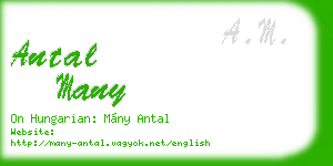 antal many business card